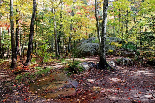 Killarney Camping by Deb Oppermann